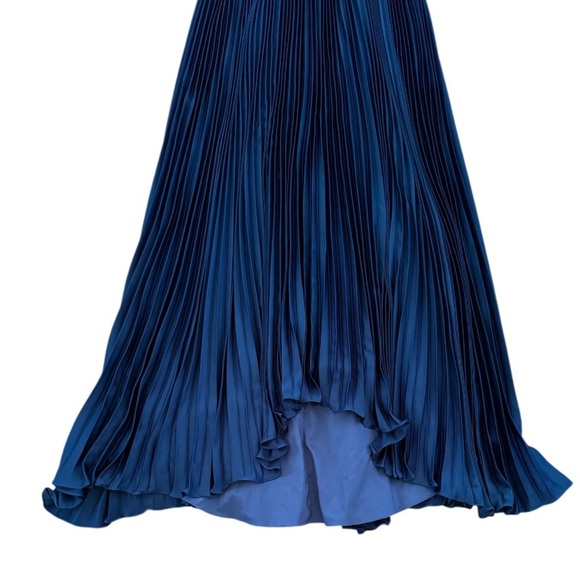 Adrianna Papell Eyelet Lace Pleated High/Low Evening Maxi Floor Length Dress, 6 - Picture 8 of 14